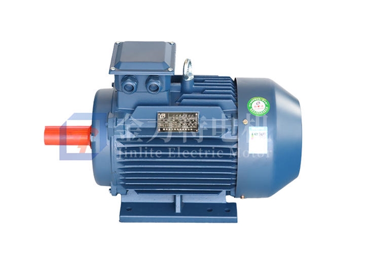 YE5系列超高效率三相異步電動機(jī)